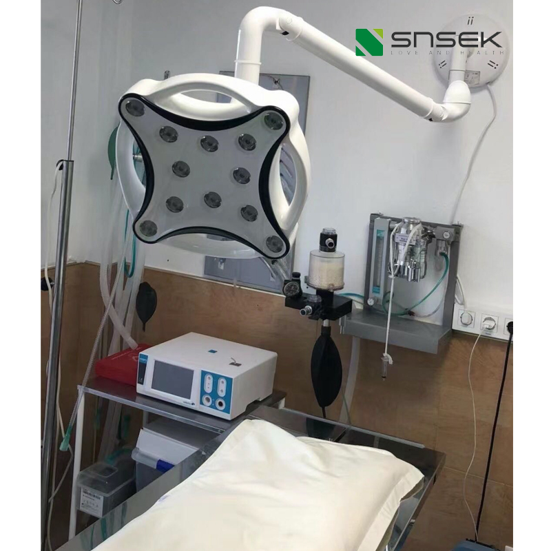 Snsek Medical Supplied Operating Lights To Veterinary Clinics In Thailand