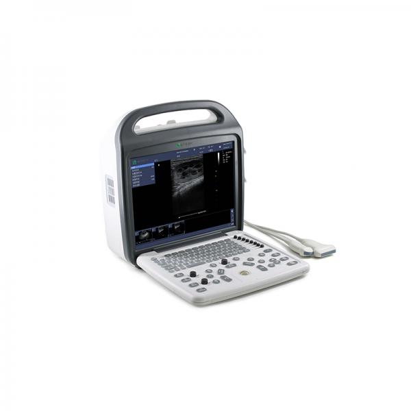 Snsek-SQ60 Vet Full Digital Color Doppler Ultrasound Diagnostic Instrument