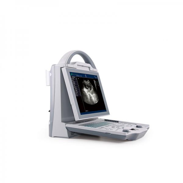 Snsek-SQ30 Vet Portable B&W Veterinary Ultrasound Scanner