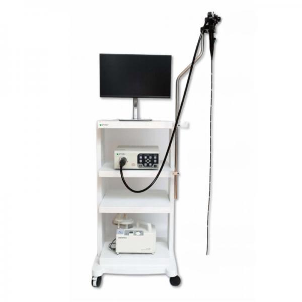 Snsek-NK8000vet Veterinary Gastrointestinal Endoscopy