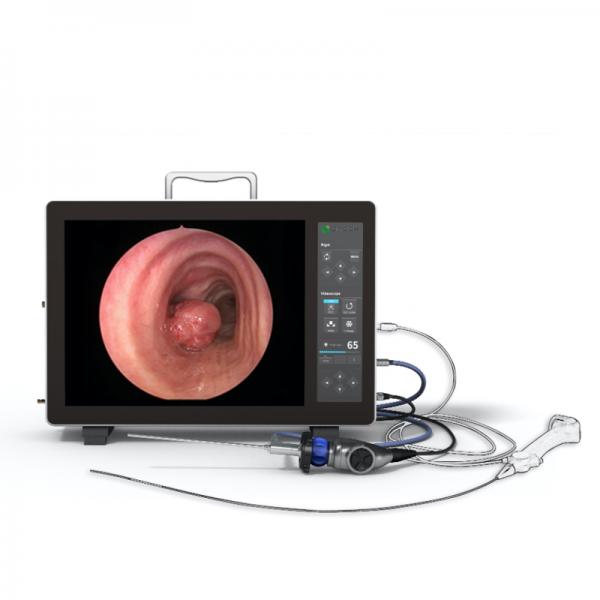 Snsek-NK9000vet Veterinary Integrated Gastrointestinal Endoscopy