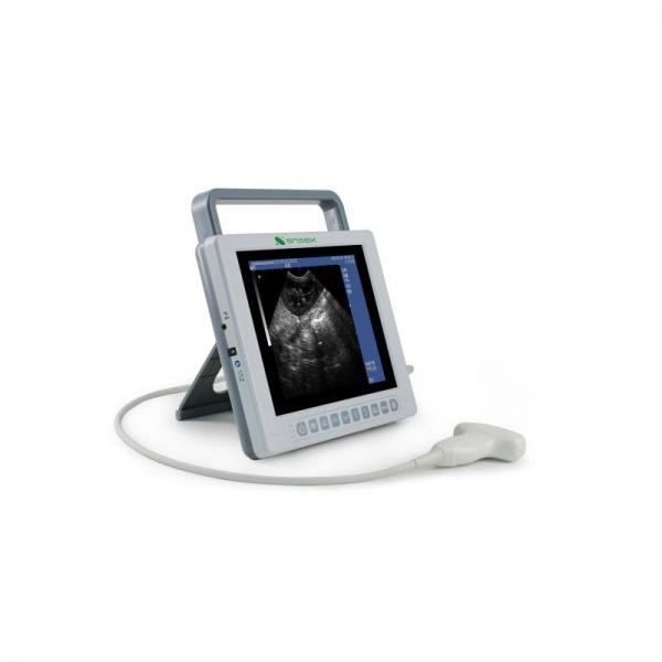 Snsek-SQ10 Vet Portable Veterinary Ultrasound Machine